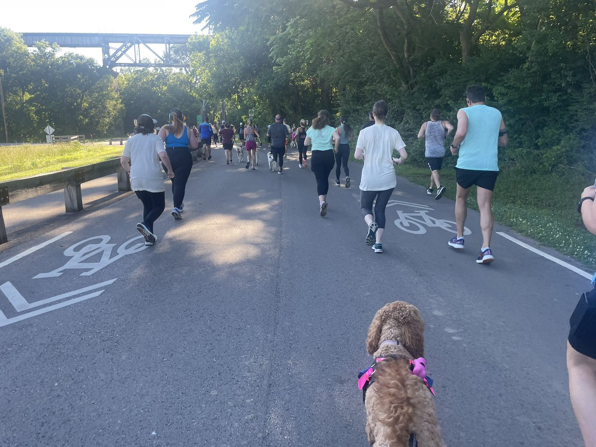 Predxican98's tweet photo. Great event this morning another @nashvillehumane  #MuttStrutt Scout and I shattering existing  PRs !! https://t.co/T2IHrm5ppO