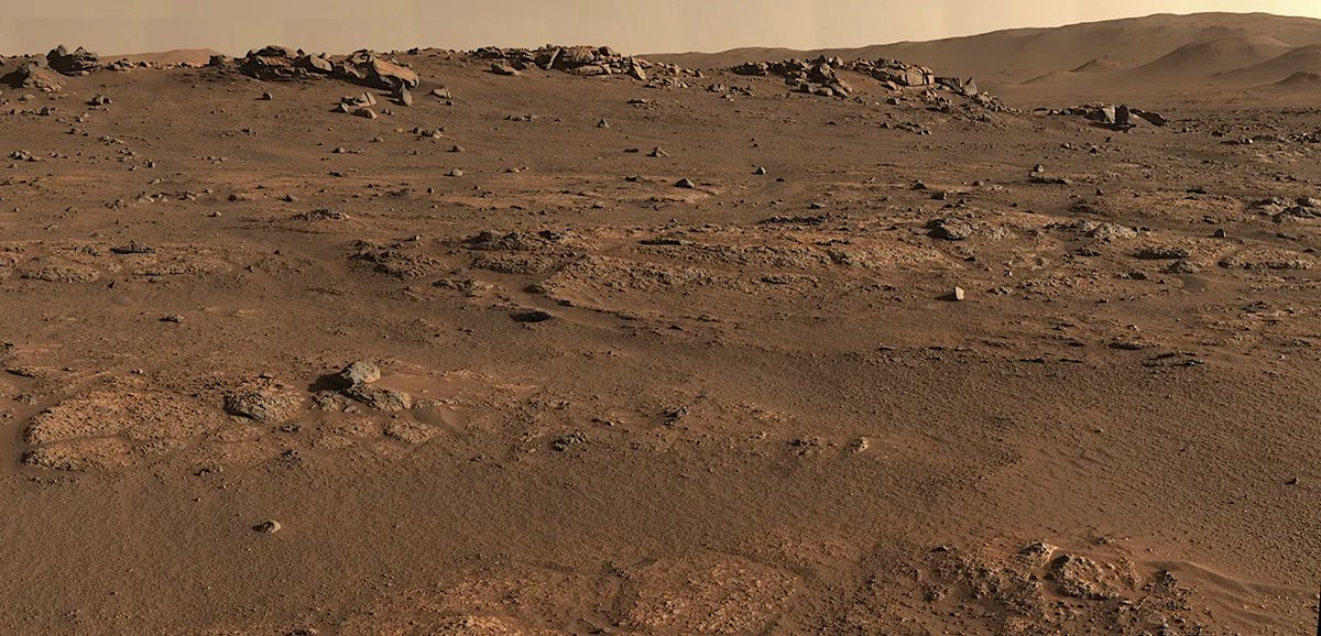 NASA Is Hiring A Senior Scientist For Mars Exploration astrobiology.com/2024/05/nasa-i… #NASA #Mars #Astrobiology #Astrogeology #MSR