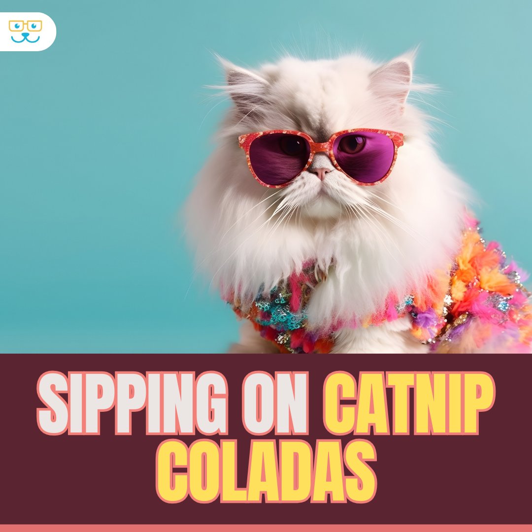 If you like Catnip-coladas, and gettin' caught in the rain...🍍🐱 #vieravet #CatMeme #CatFun #Catjoke