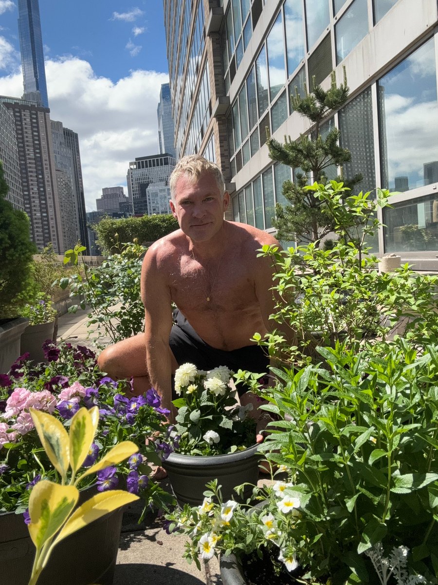 SamChampion's tweet photo. Hello #dahlia 😂 #rooftopgardenNYC … still waiting on rosebuds to open 😁!! #bringcoffee https://t.co/W2pDeIwzX9