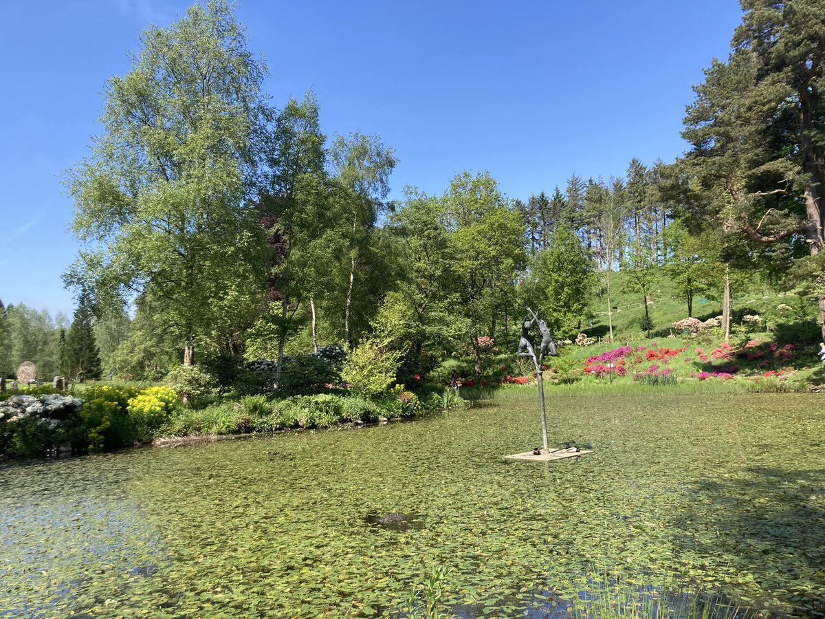 Stunning day to visit the Himalayan Garden @The_Hutts