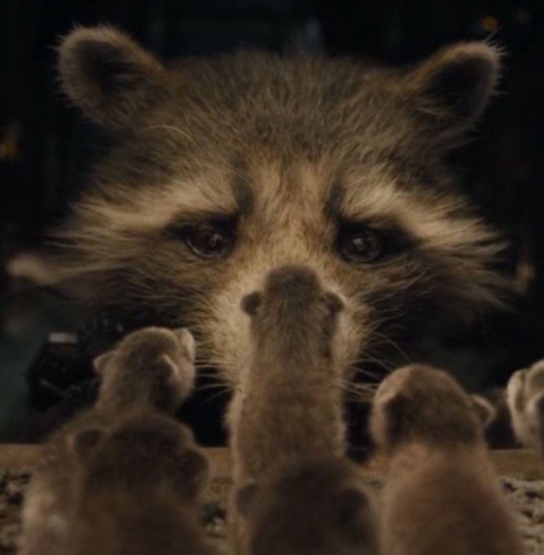 rocketthinker's tweet image. 