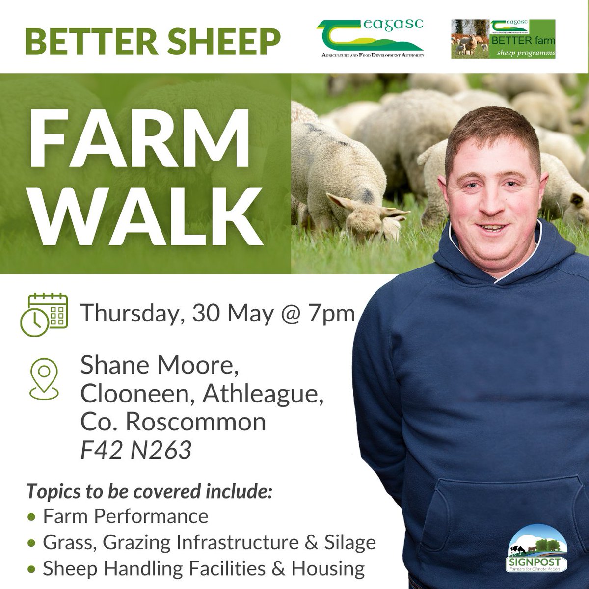 At the upcoming BETTER Sheep Lowland Farm Walk of Shane Moore on Thursday, 30 May at 7pm in Cloneen, Athleague, Co. Roscommon, attendees will gain an insight into his farm performance. Find out more bit.ly/3wzJUXm @TeagascSheep @TeagascSignpost @TeagascRNLD