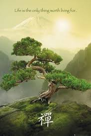 ChessieR's tweet image. Have a Peace filled Zenday.
#CSRobertsAuthor #AwarnessperPetrator #RaiseYourResonance #Allow #EdifyYourself #Zen