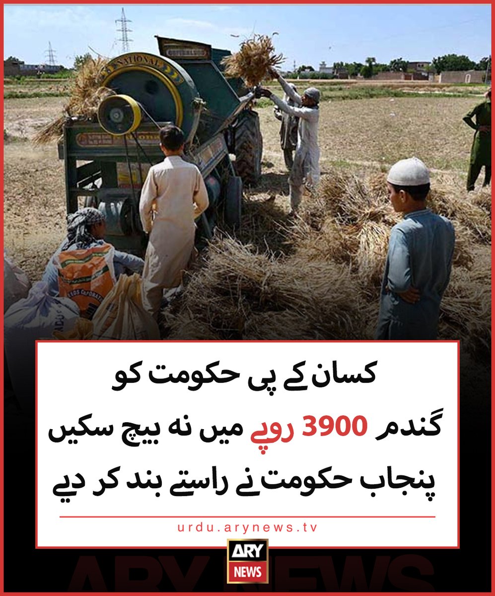 کسان کے پی حکومت کو گندم 3900 روپے میں نہ بیچ سکیں، پنجاب حکومت نے راستے بند کر دیے مزید تفصیلات: urdu.arynews.tv/kpk-wheat-scan… #ARYNews