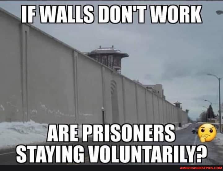 They know walls work. It’s just their plan to cripple America. #CloseTheDamnBorder.