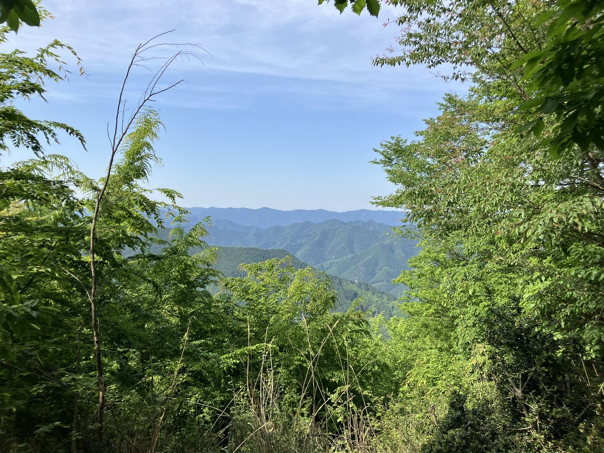 棒ノ折山でゴルジュ楽しんできたよ〜💗
天気良くて最高でした！
木陰に救われた🌿✨
#えさきちゃん山