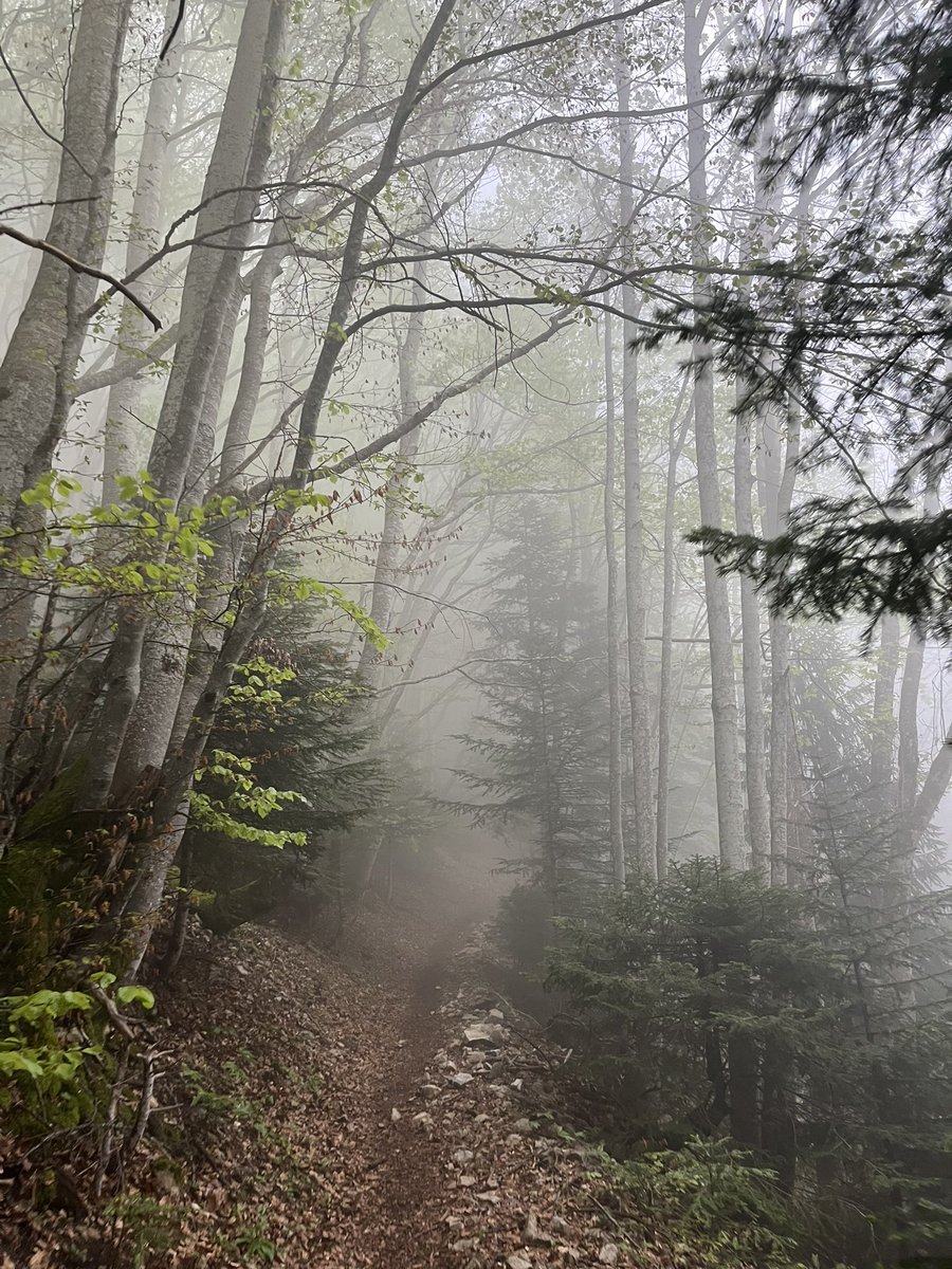 Annecy-Chambery en trail 🫡 magnifique !