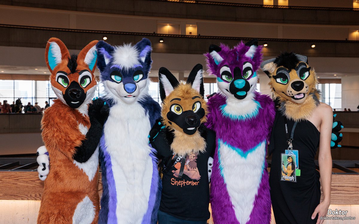 Look at our AlphaPack group pictures from #FWA Slowly but steadily expanding the pack in North America! ✂️ @AlphaDogsStudio 📸 @DoktorTheHusky