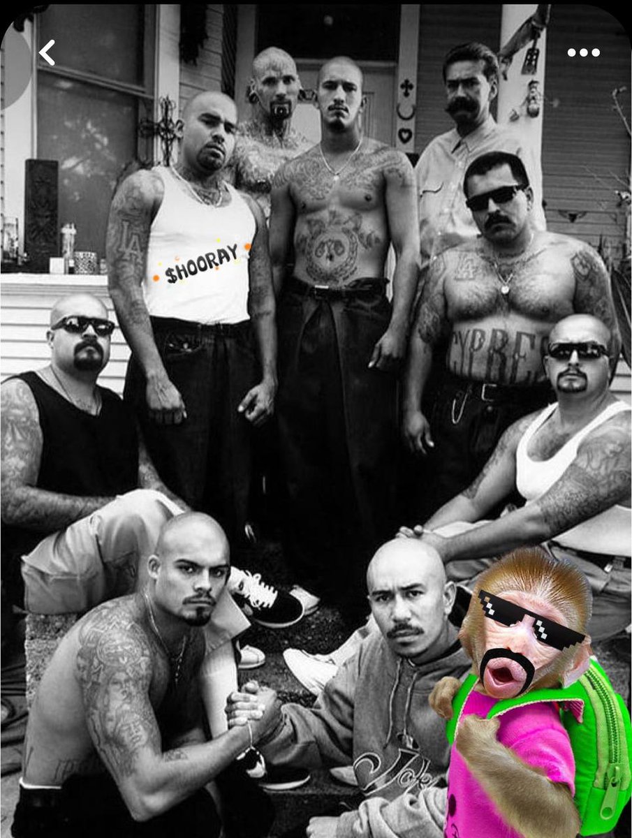 Where's my backpack gang at? 🕶️🐒🎒

$HOORAY