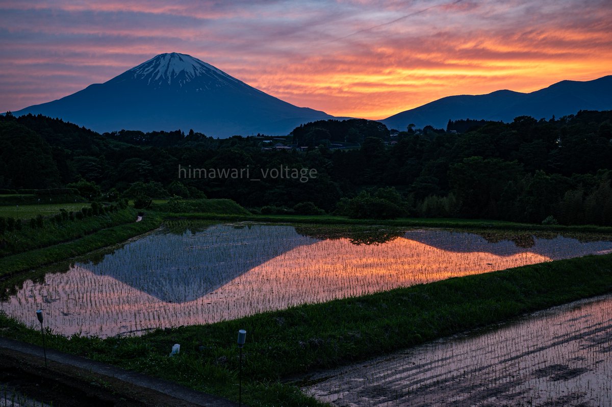 富士山リフレクション
.
.
.
@静岡県駿東郡小山町
2024.05.18_撮影
.
.
#私とニコンで見た世界 #富士山