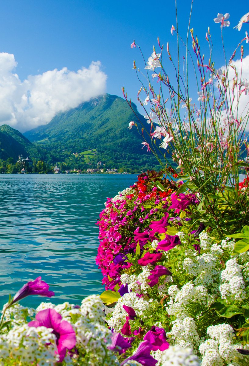 Summer blooming Lake Annecy in Haute-Savoie, France 🇫🇷
