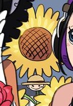 Luffy with a sunflower ☀️🌻🤍 Adorable 🥰🌻🤍