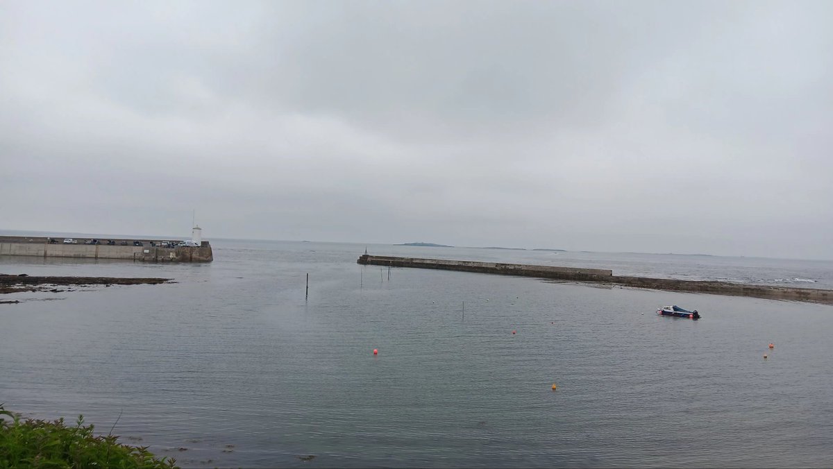 Seafret gone for now but still a gray day #Seahouses @NorthEastTweets