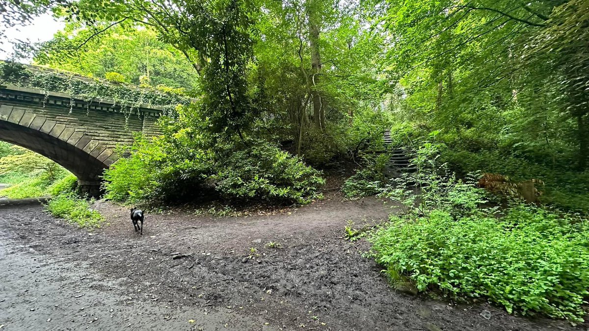 Matt wombled on the way to and from Otterspool Park 🗑️ every single day he does this route and can get 6 bags of litter in the summer 🍖 when the bbq brigade hit the park there’s litter everywhere and raw meat dumped #pennylanewombles #litterpicking #sustainable #gogreen