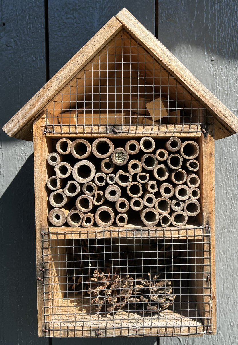 Ok, this has nothing to do with endurance training. However, my experiment suggests that wild bees prefer new to refurbished when choosing their similarly cylindrical condos. There IS one bee so far that prefers the more rustic version🤷🏽‍♂️