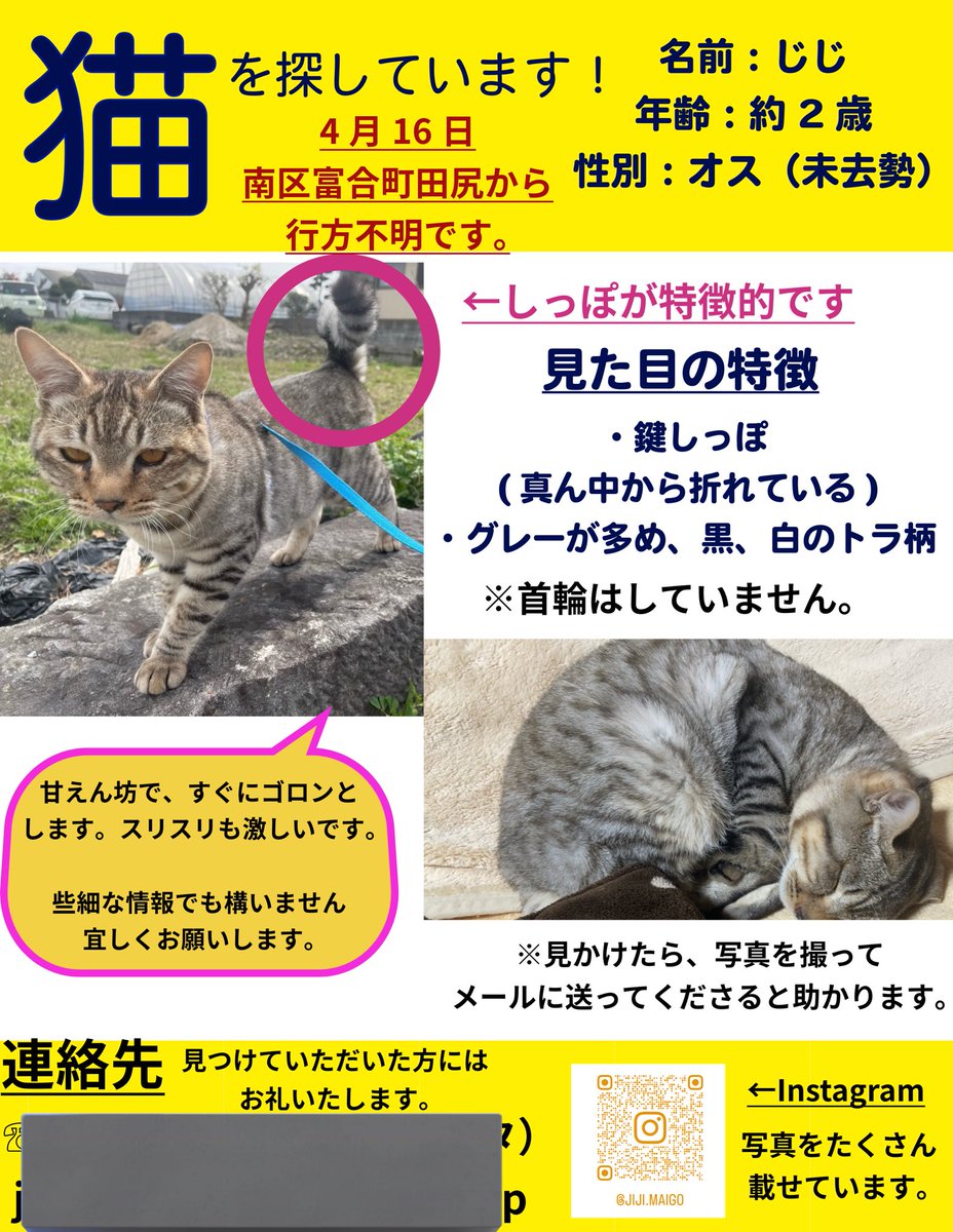 分かりやすくチラシ作り直しました‼️
拡散希望です‼️

１ヶ月経ち、ポスティングや捜索を
続けていますがじじの目撃情報もありません。
家にも来ていません。

よろしくお願いします‼️‼️‼️

#熊本 #迷い猫 #富合町 #猫 #猫ちゃん 
#迷子猫 #富合町田尻 #熊本市南区
#猫探しています #猫探し