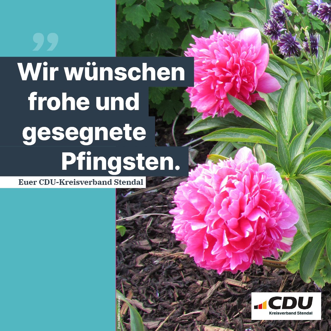 Wir wünschen euch frohe und gesegnete #Pfingsten 🕊️🙏🏻
Euer CDU Kreisverband Stendal

#Pfingstfest #FrohePfingsten #Pfingsten2024