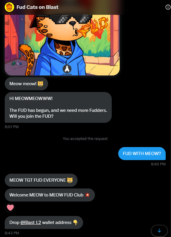 MEOWMEOWWW ❤️ tweet media