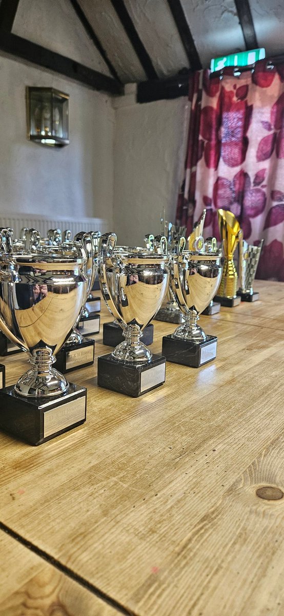 hellesdonfcdons's tweet image. Trophies are out 💛⚽️⚽️💛