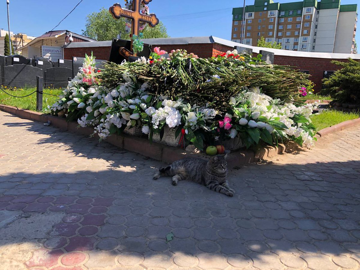 sultanbegova tweet picture