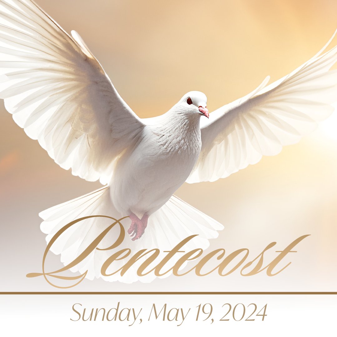 The power, revelation & harvest of Pentecost Sunday, is a time of power and provision. This commemorates when the apostles received the Holy Spirit in the upper room (Acts 2), and this power is available for you today! WE ARE STREAMING LIVE AT 9am, then stay with us for