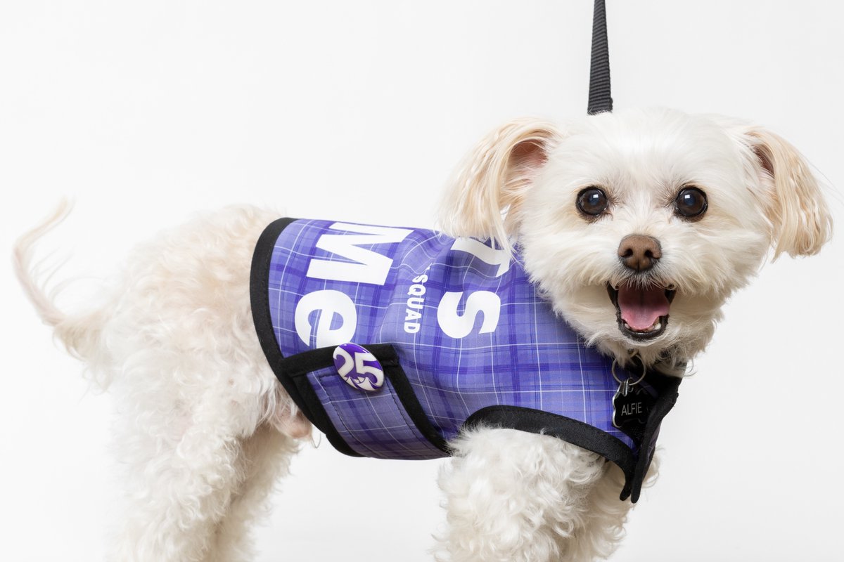 Sunday mornings at DEN are kind of Alfie's thing. 😉 Come find this little guy on Concourse A from 6:30-8:30 a.m. #DENCATS