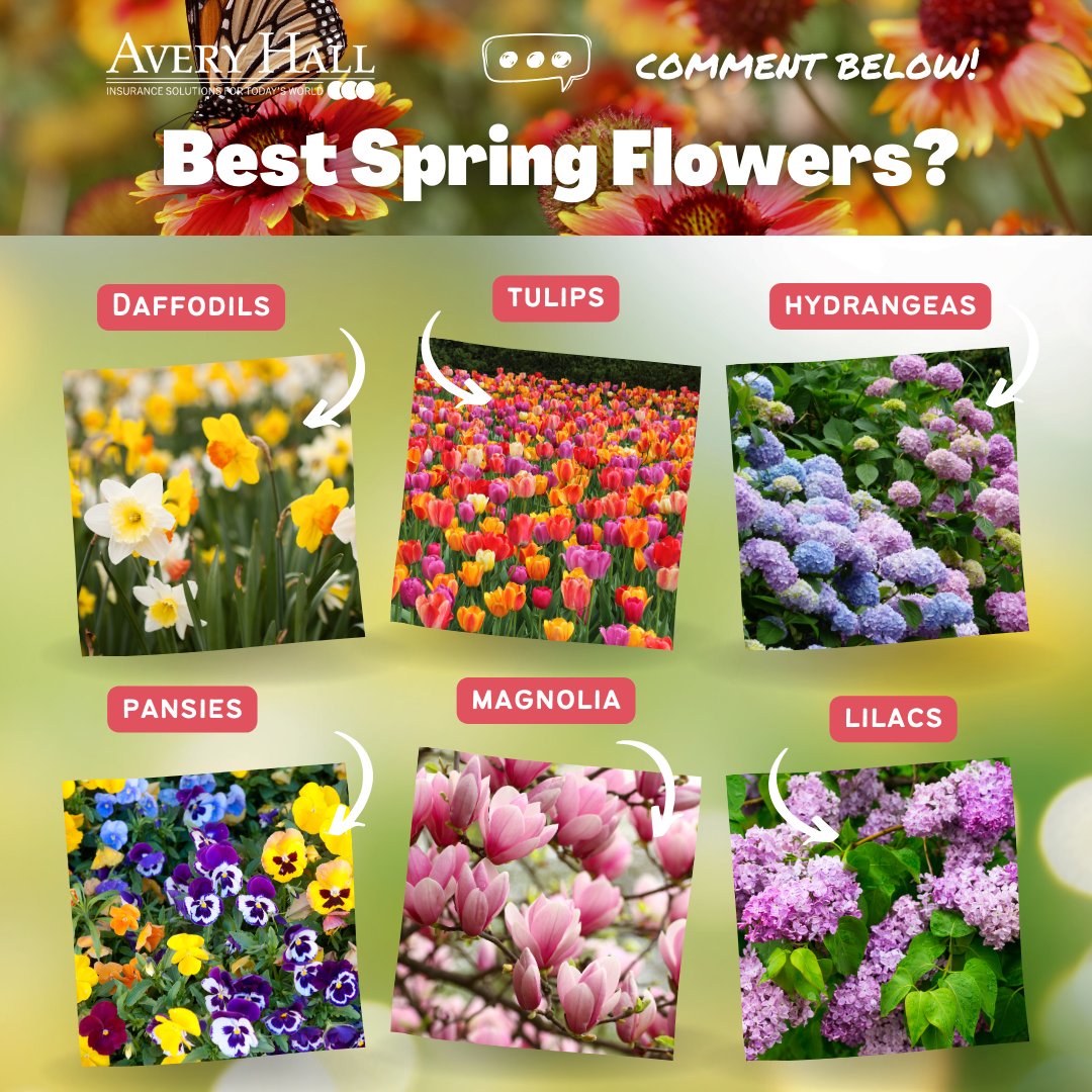 We love to see the blooms cropping up this month! 🌷🌼 Which are your favorite spring flowers? Comment below! 💬

#thisorthat #commentbelow #mayflowers