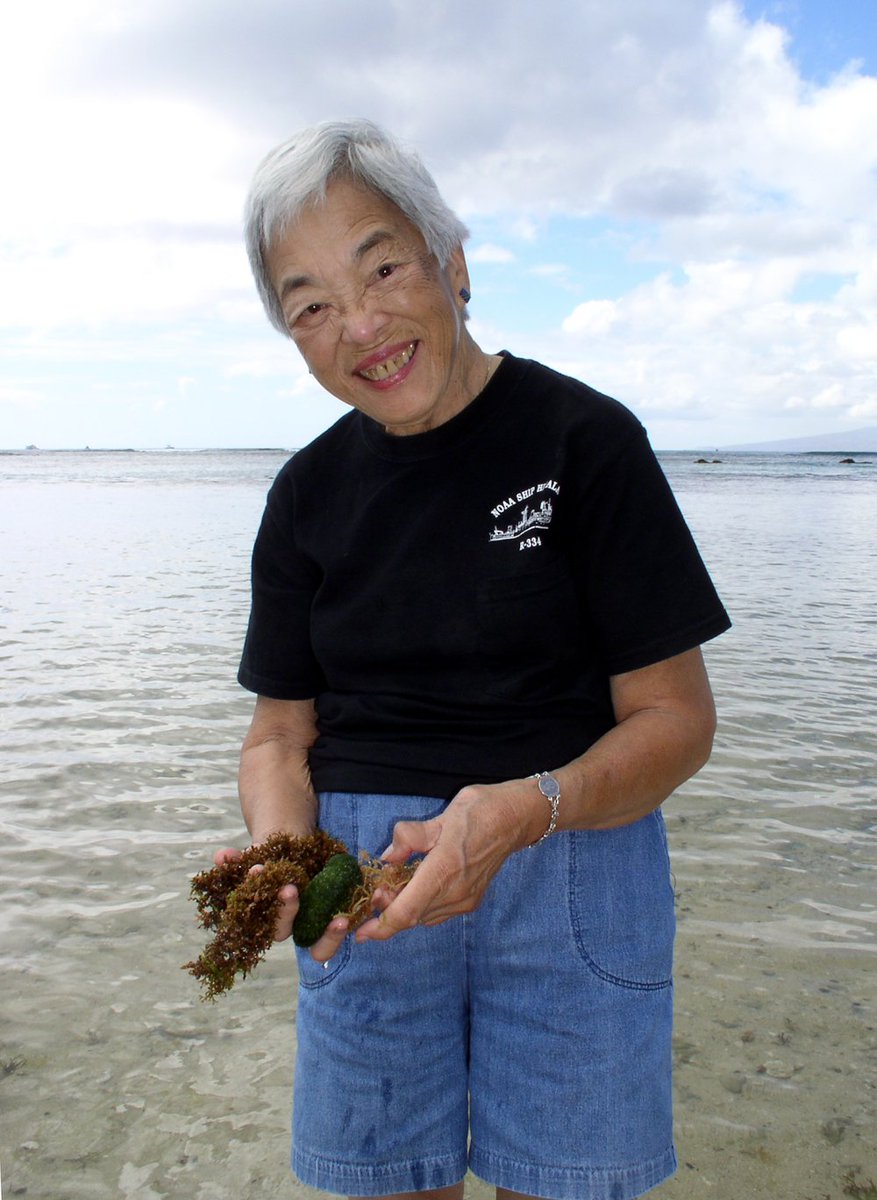 Meet the First Lady of Limu, Dr. Isabella Aiona Abbott. Born in Hāna, Maui in 1919, she was a phycologist and ethnobotanist known for her leading research on edible seaweed, or “limu.”

#AAPIHeritageMonth #Botany #IsabellaAbbott
