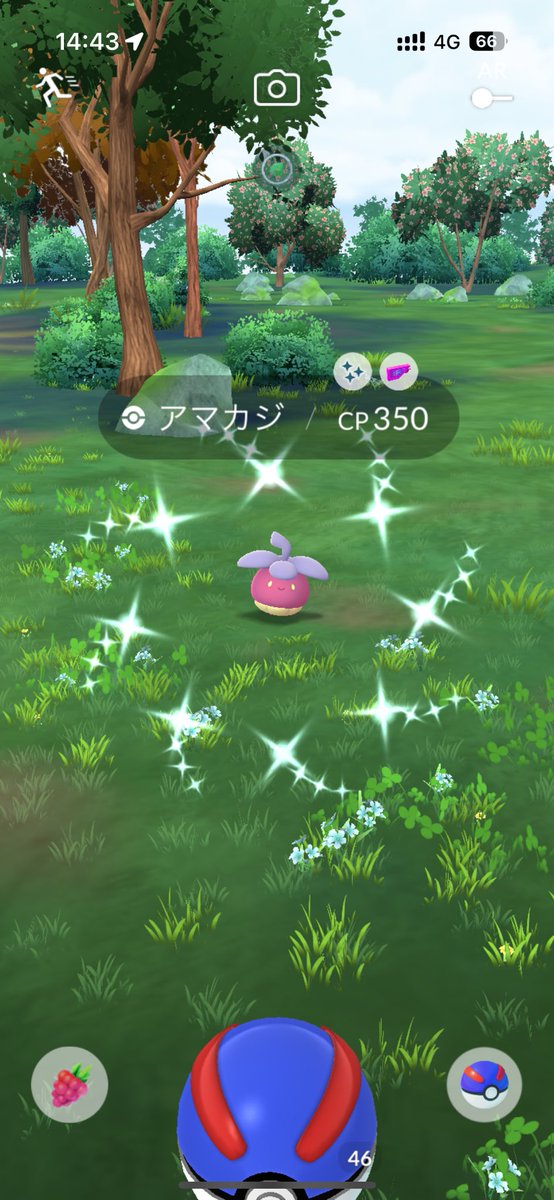 ゲット！
#ポケモンGO #pokemongo #色違いポケモン #shinypokemon #PokemonGOCommunityDay #コミュニティデイ #アマカジ #Bounsweet