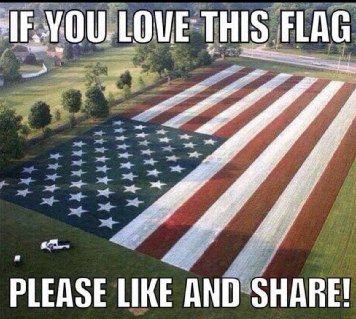 I may not like the current state of our country and I may despise our government but I love our flag and our country. Who feels the same way?