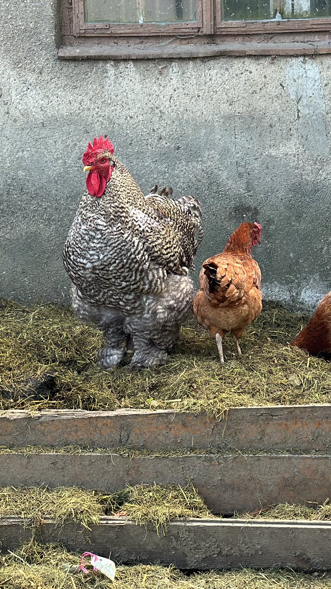 Syn koleżanki Twojej starej