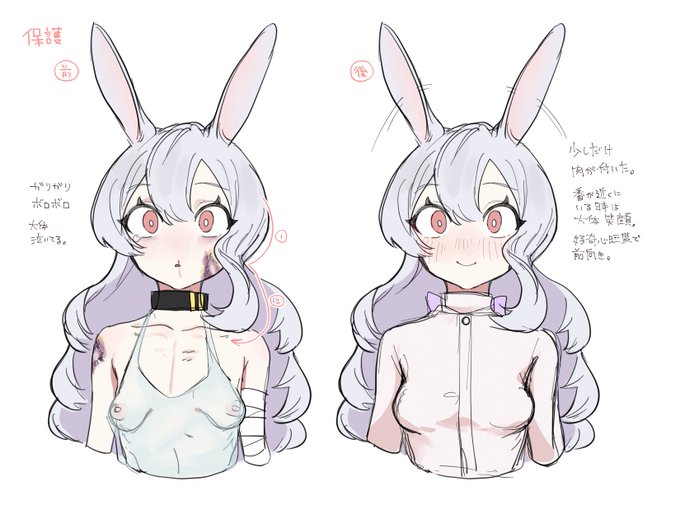 【創作】マヤの保護前と後 