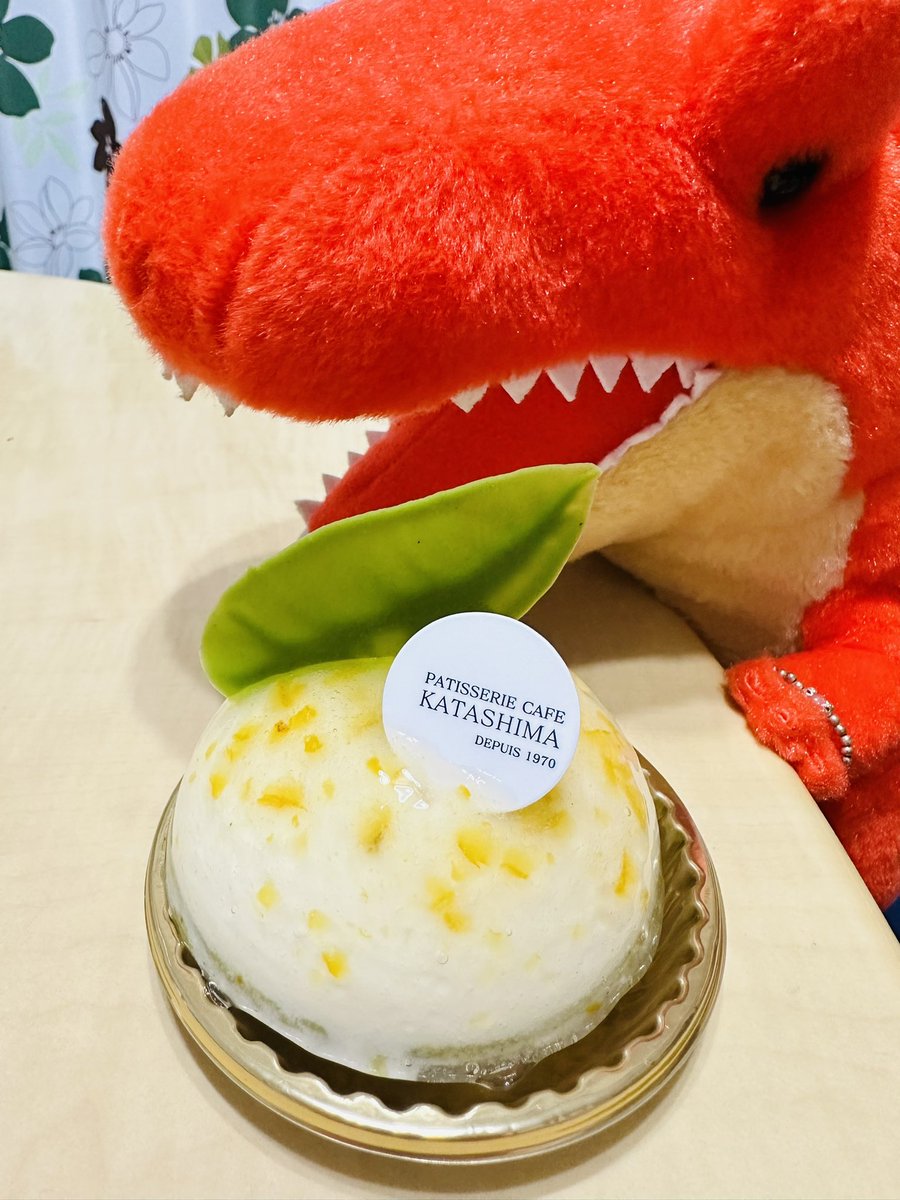 marikoA0726's tweet photo. 同じ団地のおばちゃんに貰った🥰
今日は柚子のチーズケーキ食う😉
イチゴのエクレアみたいなんは旦那が食べたい言うてたから、もぅ一つのケーキは明日食う😉
#アミュキャラぬい撮り
#KATASHIMA
#ぬいぐるみ
#ぬい撮り https://t.co/qRN50WzZaP