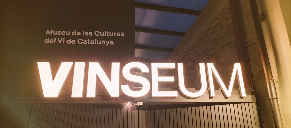 Oh la nova llum de @vinseum que des del cor del maig encén, també, les cultures del vi. Quant de moviment a la nova #plaçadelvi de Catalunya! #DIM24!