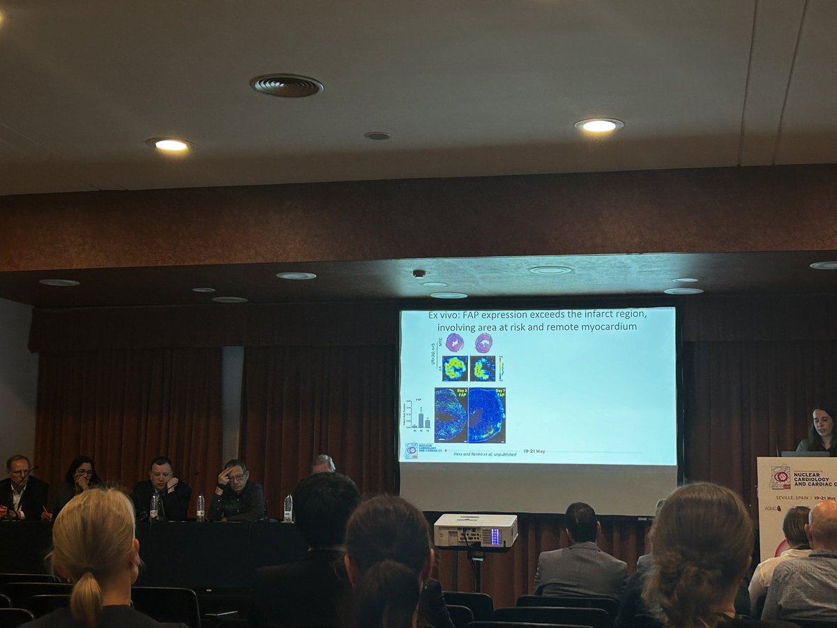 A great start to YIA sessions. Animal models of MI showing the close relationship between inflammation and myocardial infarction demonstrated by in vitro FAPI imaging and correlation with LV remodeling 
@alessia_gimelli @HyafilF @VDelgadoGarcia @andgiannopmd @sarahcud @estelais