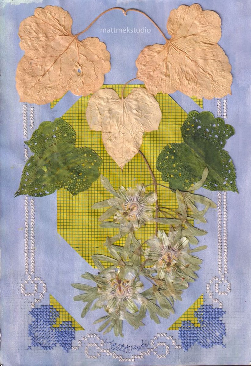 mattmekstudio's tweet photo. Pressed Plants and Cross Stitch https://t.co/vjoo5HkKw1