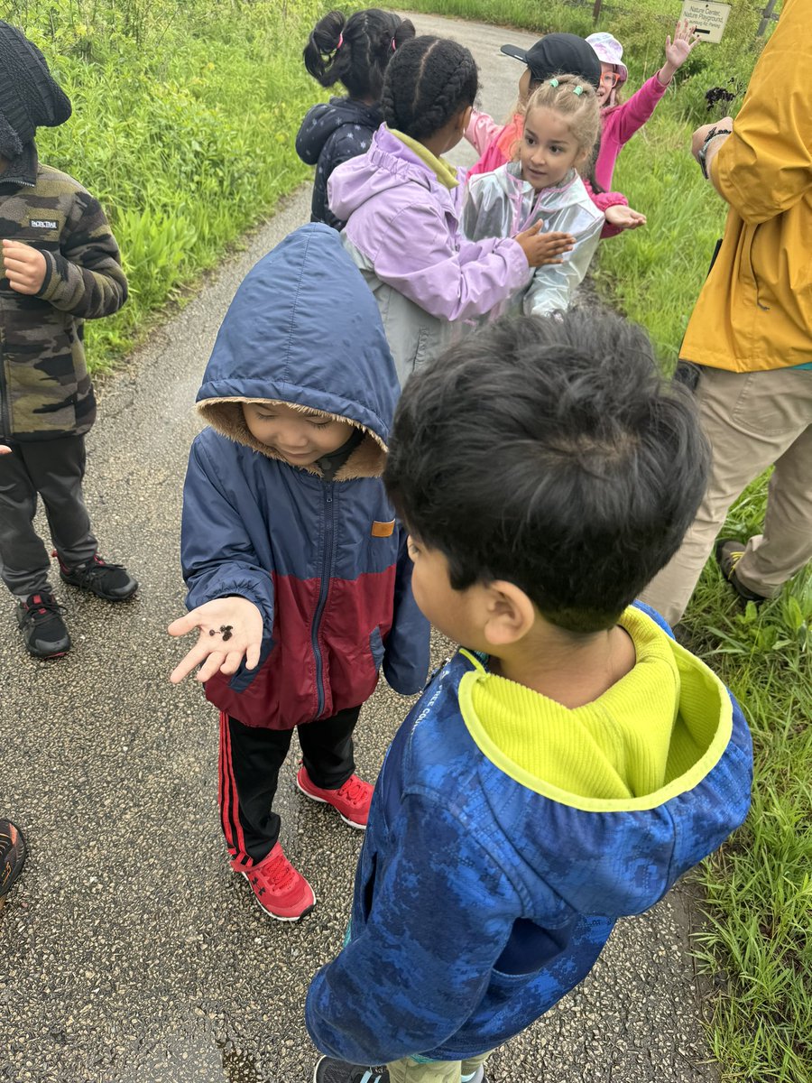 Abbigail Canace tweet media