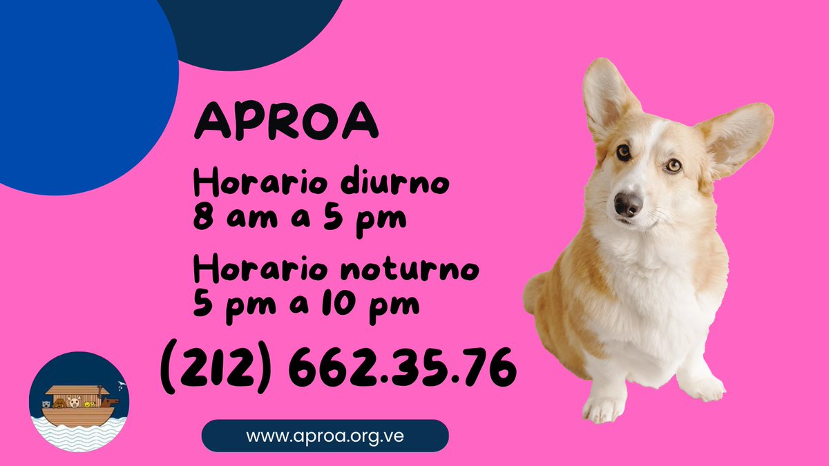 ¿Sabías que en Aproa ofrecemos servicios veterinarios los domingos, ¡incluso en horario nocturno! 🌙 Para mayor información llama a (212) 662.35.76.🐕❤️