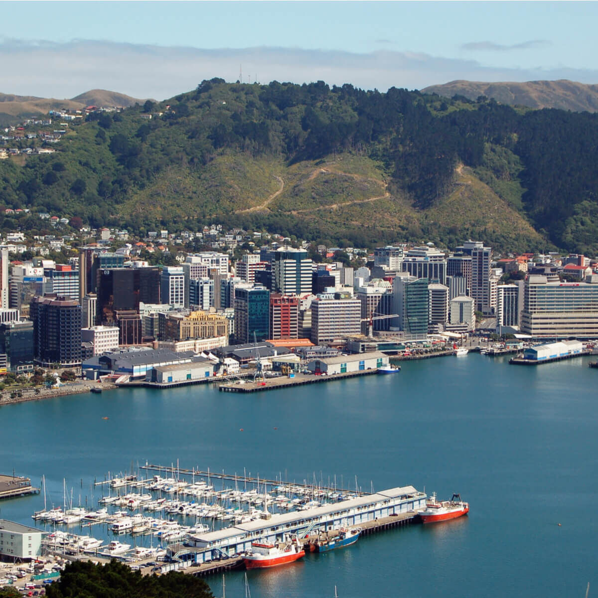 General Physician (Internist) permanent full time job near Wellington NZD 200000- 350000 PA including benefits, 6 weeks annual leave . 1 in 6 on call.

#JobListing #HealthcareJobs #Careers #JobOpportunity #MedicalJobs #NewZealandJobs #ConsultantPhysician #WorkInNewZealand