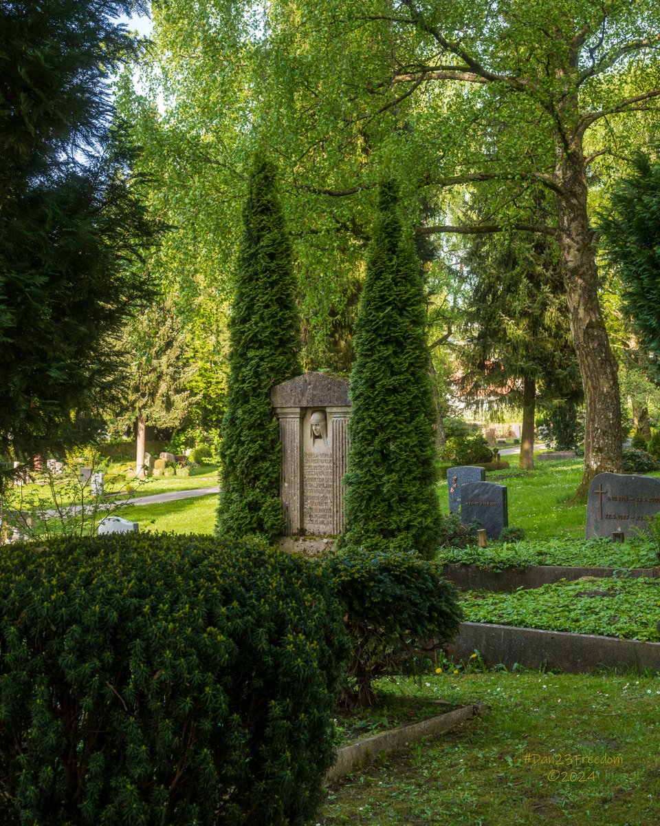 📷 1/250 sec at f/8,0, ISO 640, 40 mm prime #dan23freedom
#germany #nordrheinwestfalen #GraveStone #CemeteryScenery #BetweenTheTrees #PointyTrees #SolemnBeauty #HistoricGrave #GraveyardWhispers
