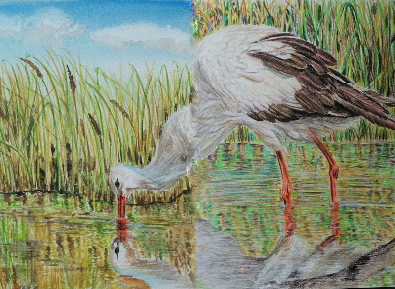Check out my colorspencils and watercolors artwork on @OmniFlixNetwork
Title : Stork at lake
One edition
Link :
omniflix.market/c/onftdenom5d0…
@chroniclesvault
#thechronicles
#nftfarnazpishro
@FlixFanatics
#stork
