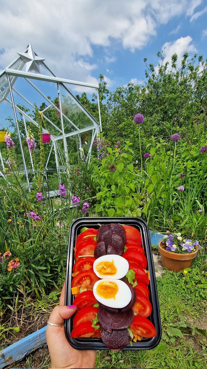 I was starving & about to go home for some lunch when Mr LP turned up like a knight in shining armour... with lunch!🥰 Now I'm having a picnic on the grass, watching dragonflies in the pond, bees going in and out of foxgloves & birds having an afternoon splash in the bird bath💚