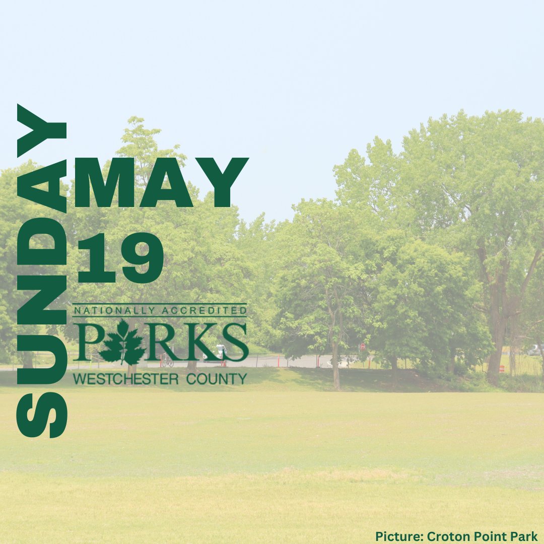 Need a plan for today? List of activities ⬇️ 🍅 Muscoot Farm Farmers Market, 9:30am to 2:30pm 🚲 Bicycle Sunday on the Bronx River Parkway, 10 a.m. to 2 p.m. 🌿 Friends of Lasdon Park Annual Plant Sale, 11 a.m. to 3:30 p.m. 🌎 Polish Heritage Festival at Kensico Dam Plaza, noon