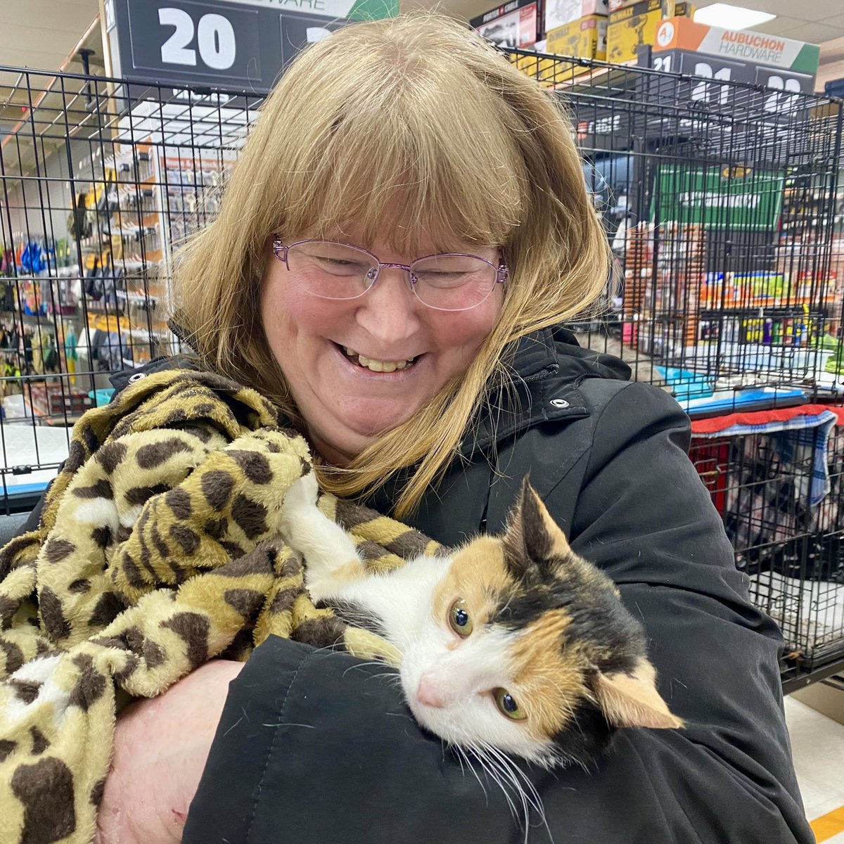 AubuchonHrdware's tweet photo. Successful adoption event with many happy families! #StoreCatSunday https://t.co/IjFprdl7v7
