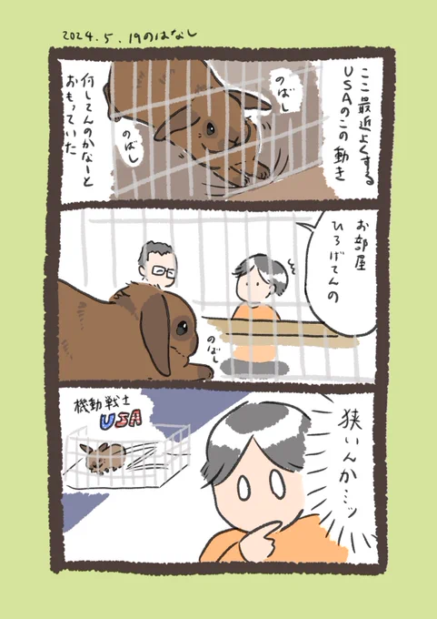 広いところで走ってほしくて…

#うさぎのいる生活 