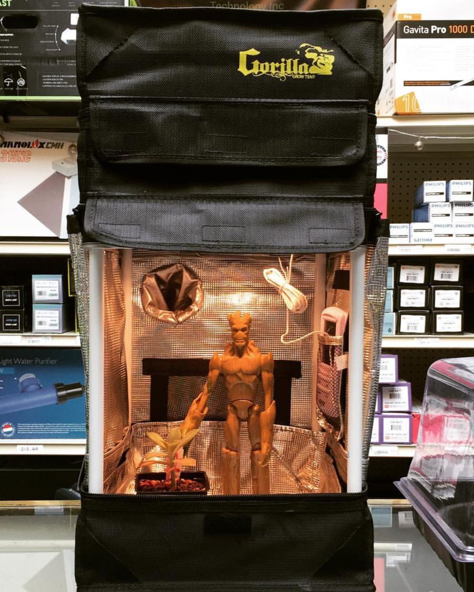 (𝘯𝘢𝘮𝘦 𝘵𝘩𝘢𝘵 𝘮𝘰𝘷𝘪𝘦) What is this? A grow tent for ants?! Nah, just one of our store display tents for countertops, and...Ken. #GrowStrong 📸: @aquasereneseattle ⛺️ Grow with Gorilla: bit.ly/GorillaGrow #gorillagrowtent
