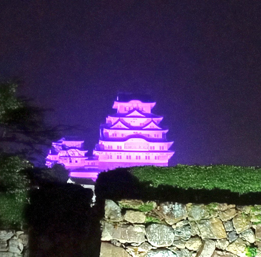 世界IBDデーに合わせ、姫路城が紫色にライトアップされるイベントが開催！IBDを啓発する国際的なイベントで、5月19日（日）の日没から0時まで開催されます。IBDの理解と関心を高める素晴らしい機会です。#IBDデー #姫路城ライトアップ #炎症性腸疾患 #啓発活動