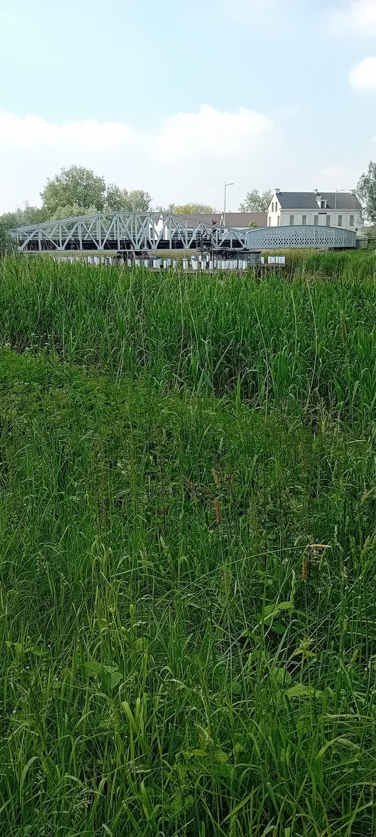 alaindg69's tweet photo. Hamme 14:00
#hamme #mirabrug #durme #wandelen #zondag #pinksteren #weerfoto #vrtweer https://t.co/3mhTwnEmLG