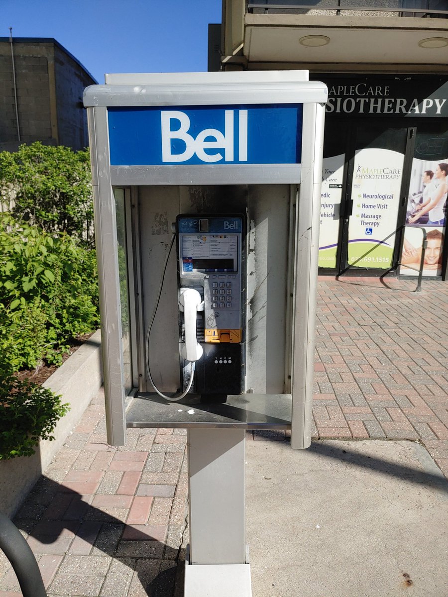 Found a fossil on Wellington West.